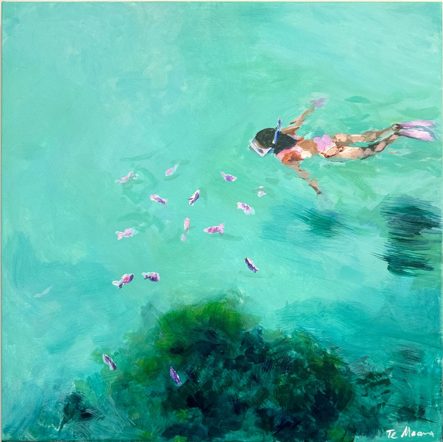 Snorkelling with pink fish