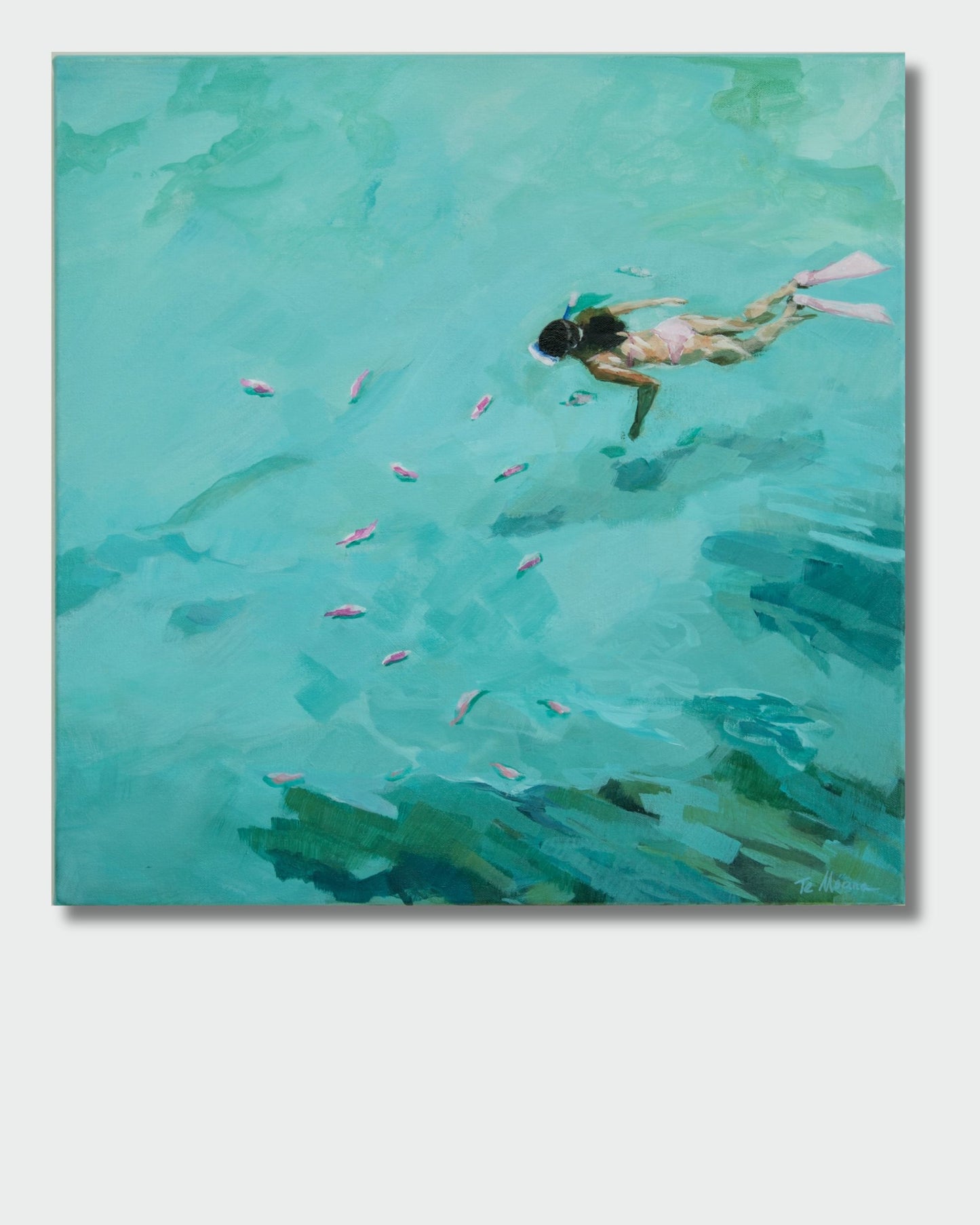 Snorkelling with pink fish